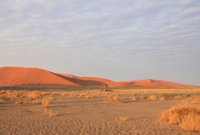 zonsopkomst sossusvlei