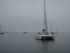 catamaran